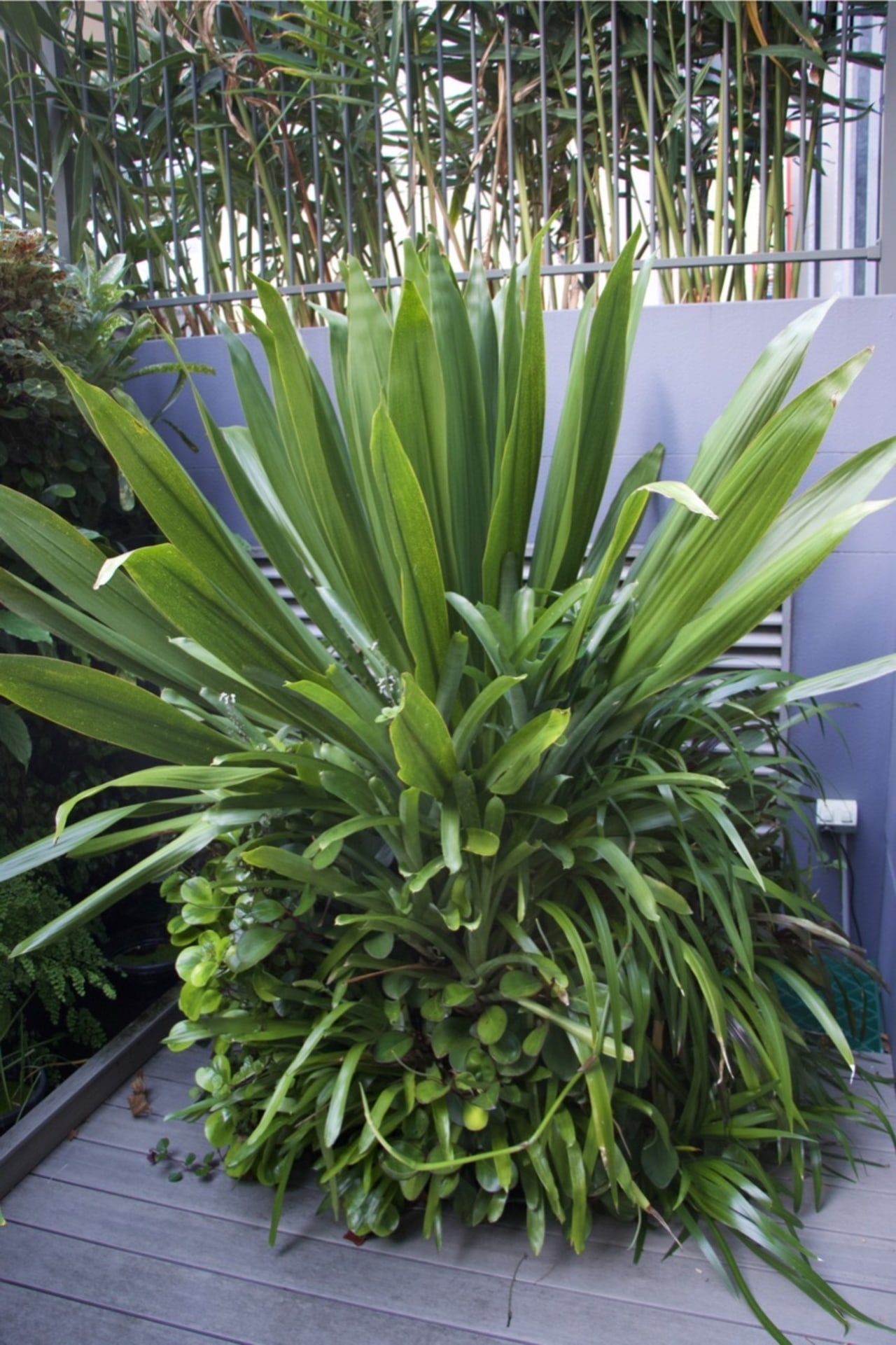 Green walls contribute to urban biodiversity, offering habitats 