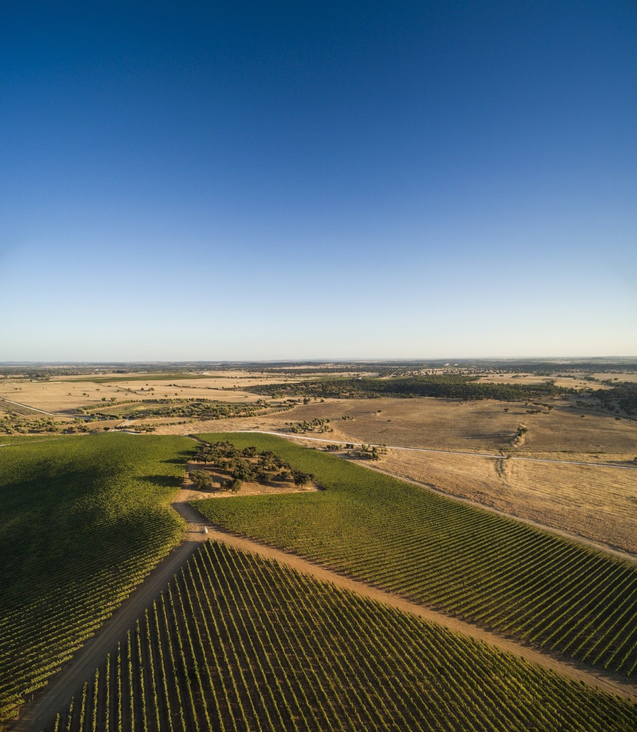 From up above, it appears you're just looking aerial photography, agriculture, atmosphere, atmosphere of earth, cloud, ecoregion, ecosystem, field, grass, grass family, grassland, hill, horizon, landscape, morning, plain, prairie, rural area, sky, steppe, brown