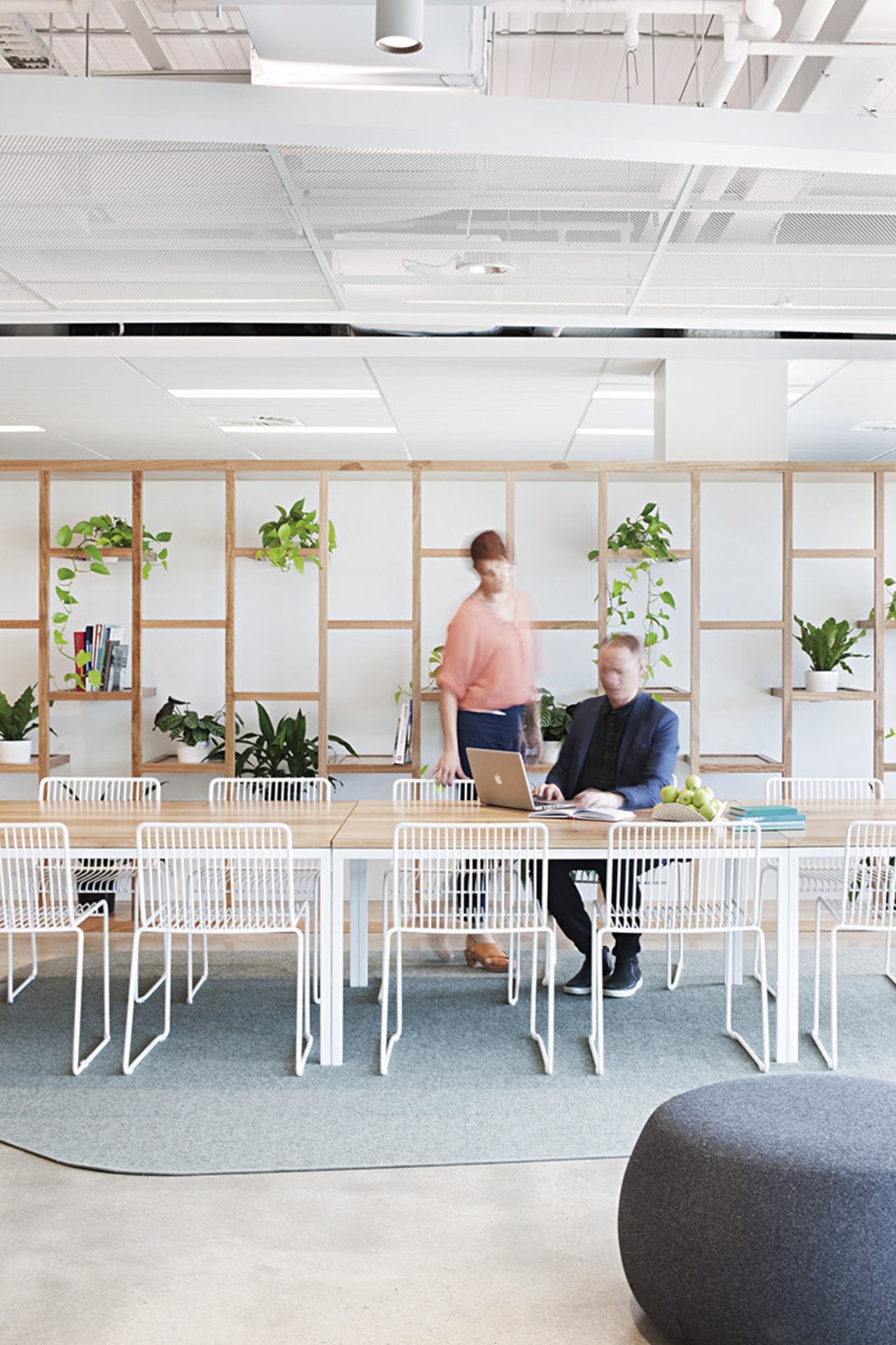 The cafe in the ADCO Constructions fit-out by chair, daylighting, furniture, home, interior design, table, white