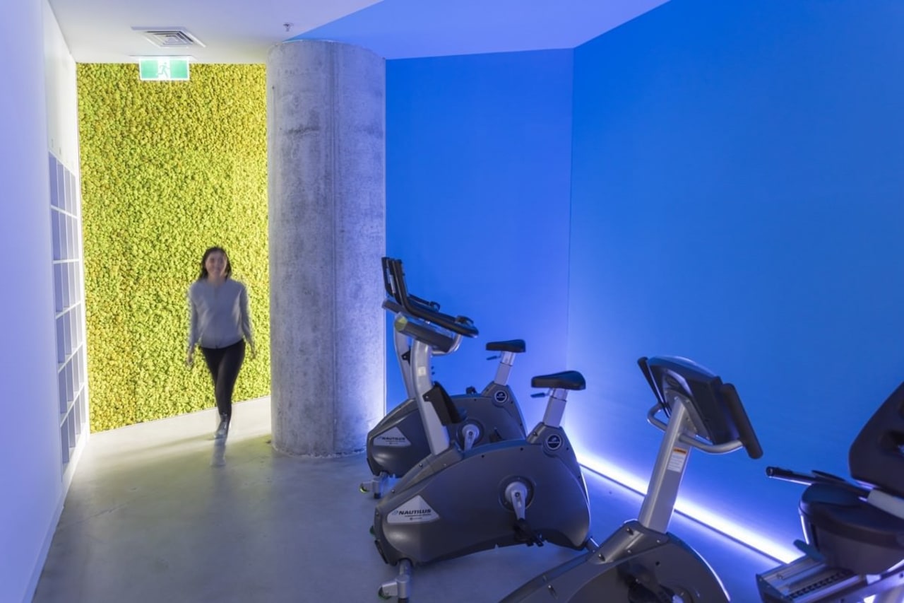 The warm-up room blue, gym, interior design, leisure, room, sport venue, structure, blue