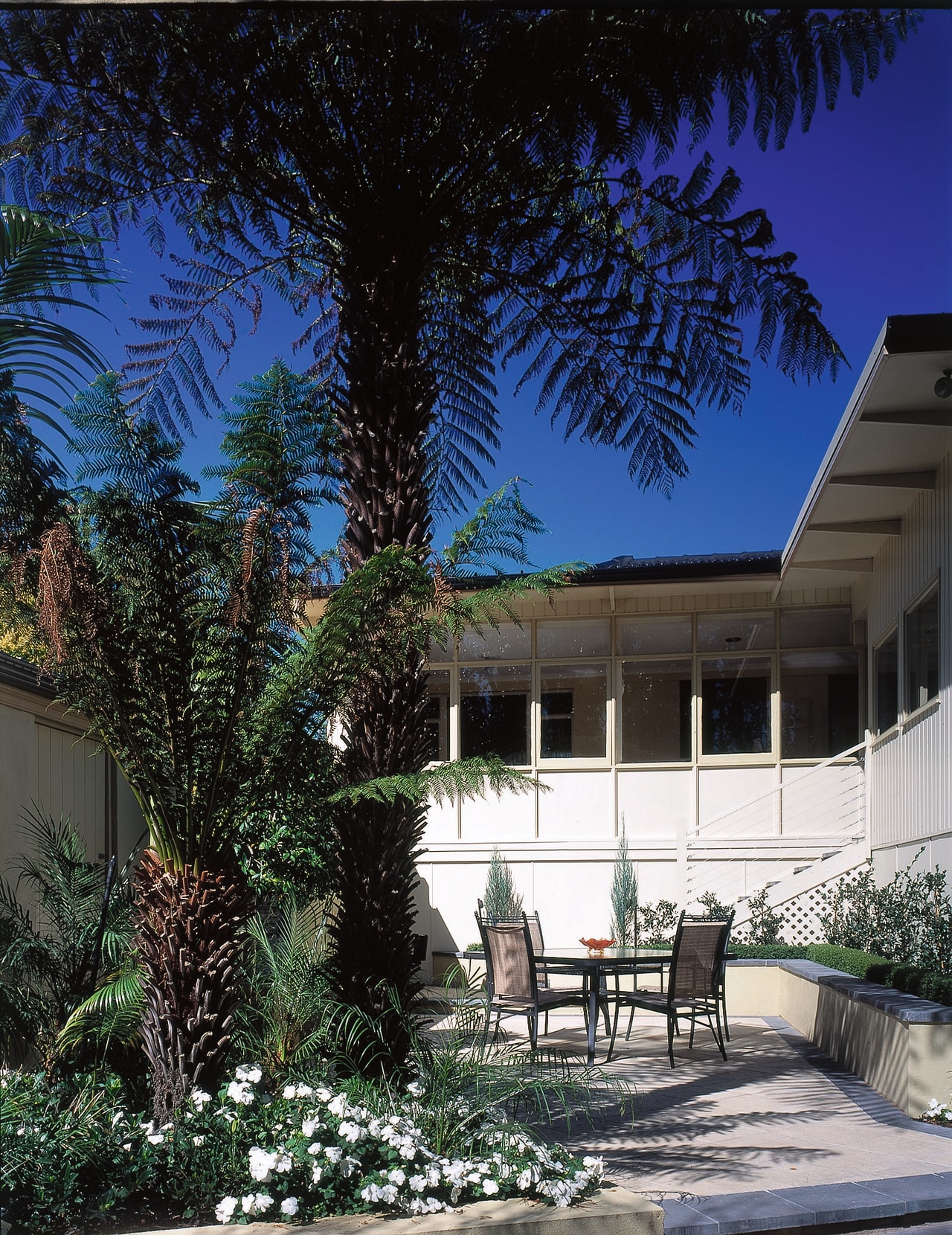 View of this modern home architecture, arecales, backyard, courtyard, estate, facade, home, house, landscaping, lighting, outdoor structure, palm tree, plant, property, real estate, residential area, sky, tree, villa, black, blue