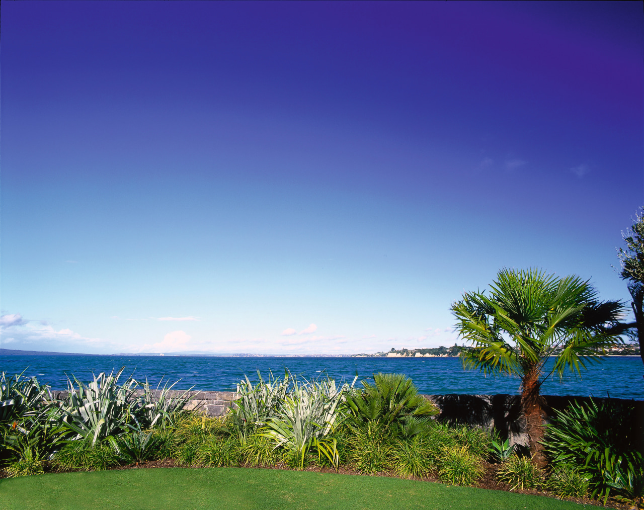 View of the property arecales, cloud, coast, daytime, field, grass, horizon, landscape, leaf, morning, nature, ocean, palm tree, plant, sea, shore, sky, tree, tropics, vegetation, water, blue