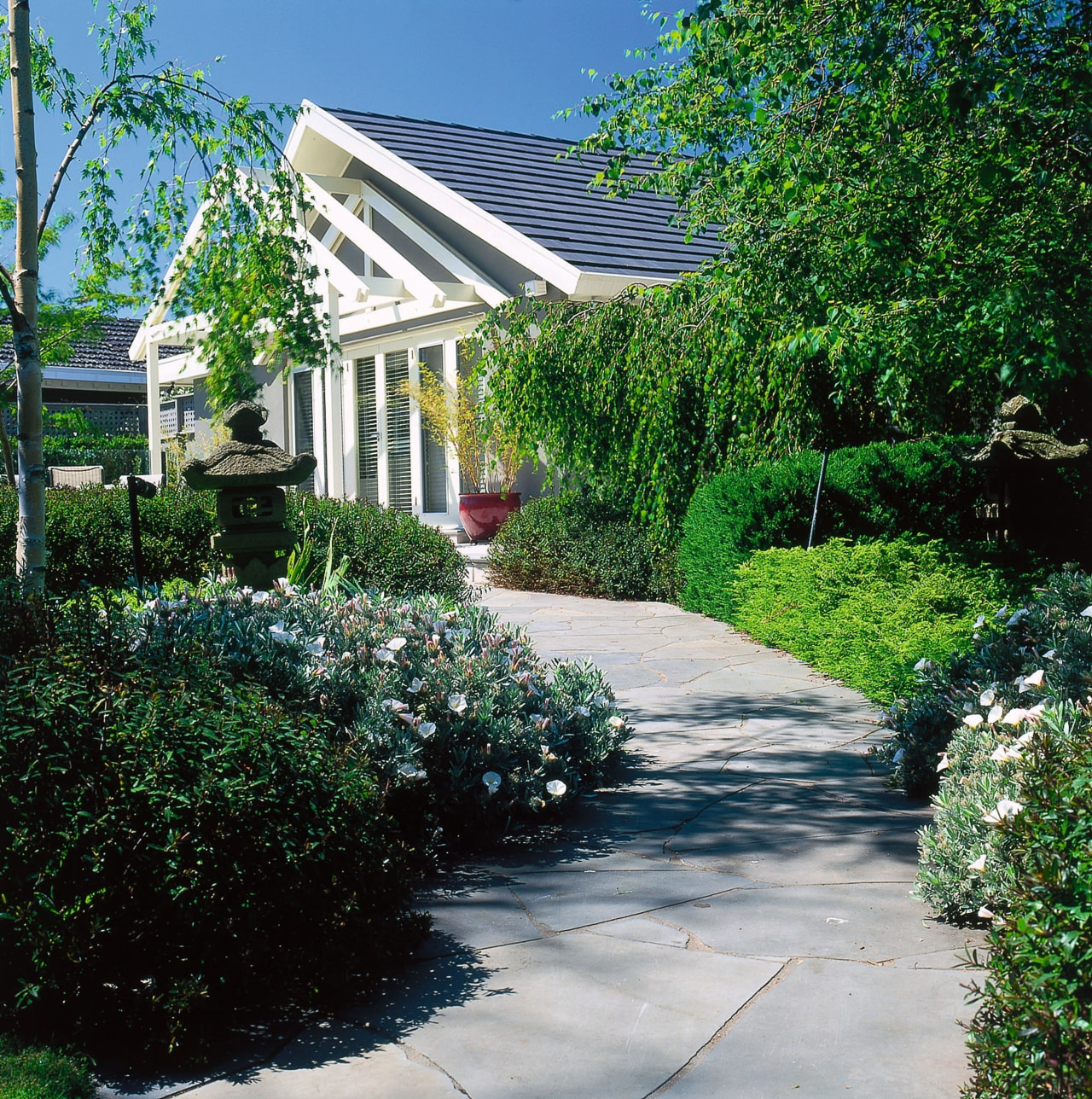 Landscape renovation. Leafy foliage line the slate path backyard, cottage, estate, garden, grass, home, house, landscape, landscaping, lawn, leaf, outdoor structure, plant, real estate, residential area, shrub, tree, walkway, yard, green