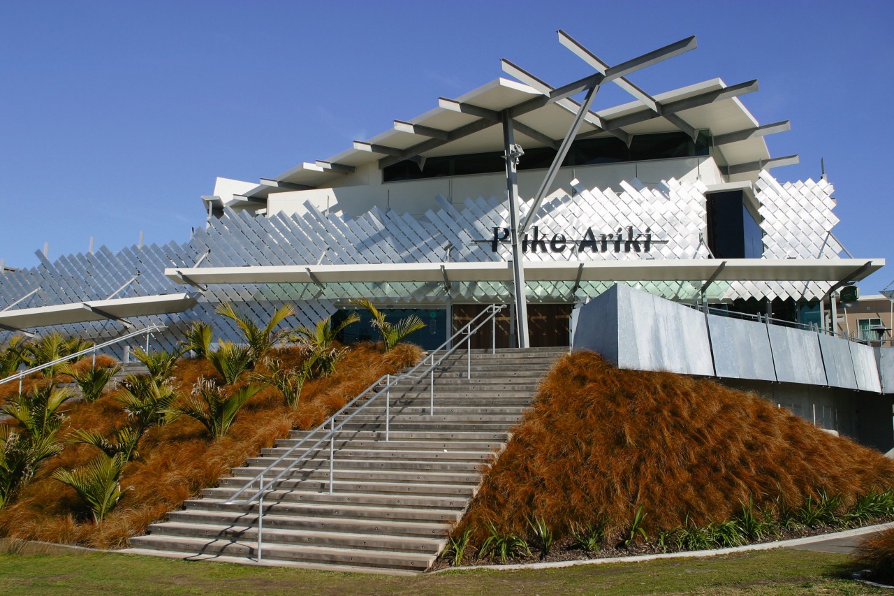 Exterior view of entrance way to Puke Ariki, architecture, building, roof, structure, brown, blue