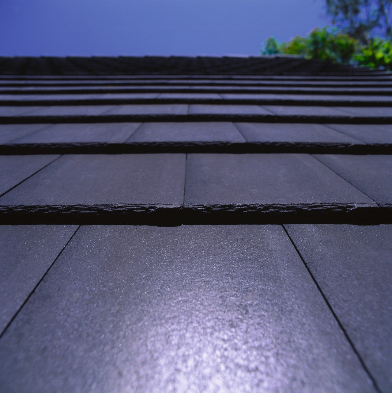 Change for good Trends