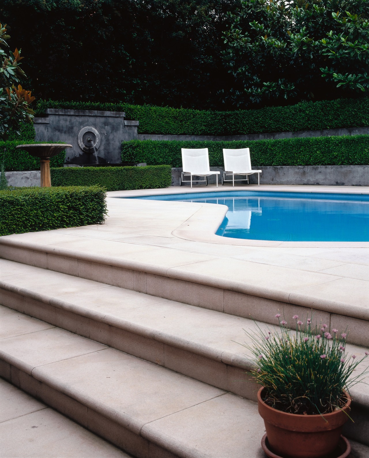 View of the concrete steps leading up to backyard, landscaping, outdoor furniture, outdoor structure, sunlounger, swimming pool, walkway, water feature, wood, yard, black, white