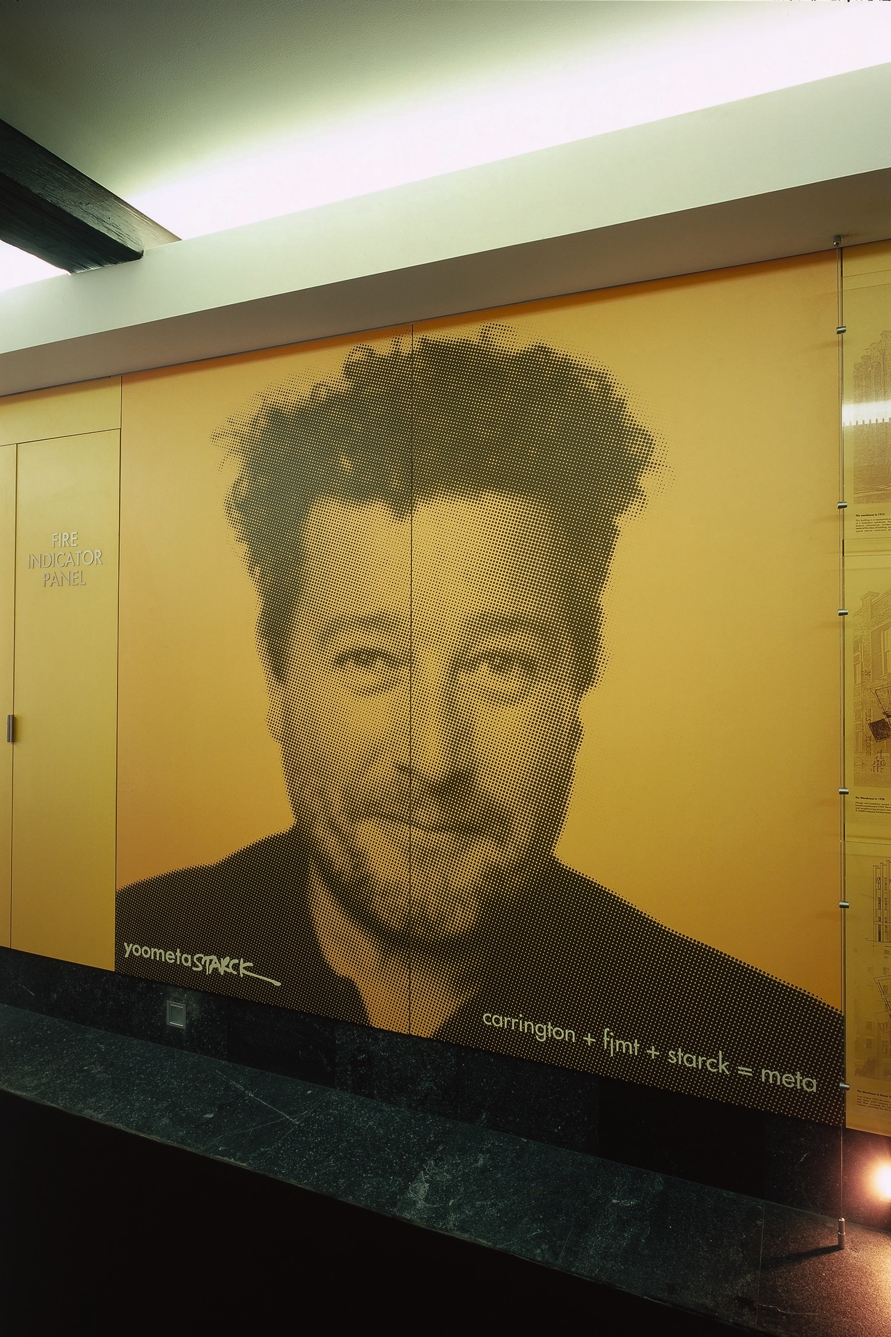 view of the fusion laminate wall surface art, design, facial hair, snapshot, wall, yellow, brown, orange