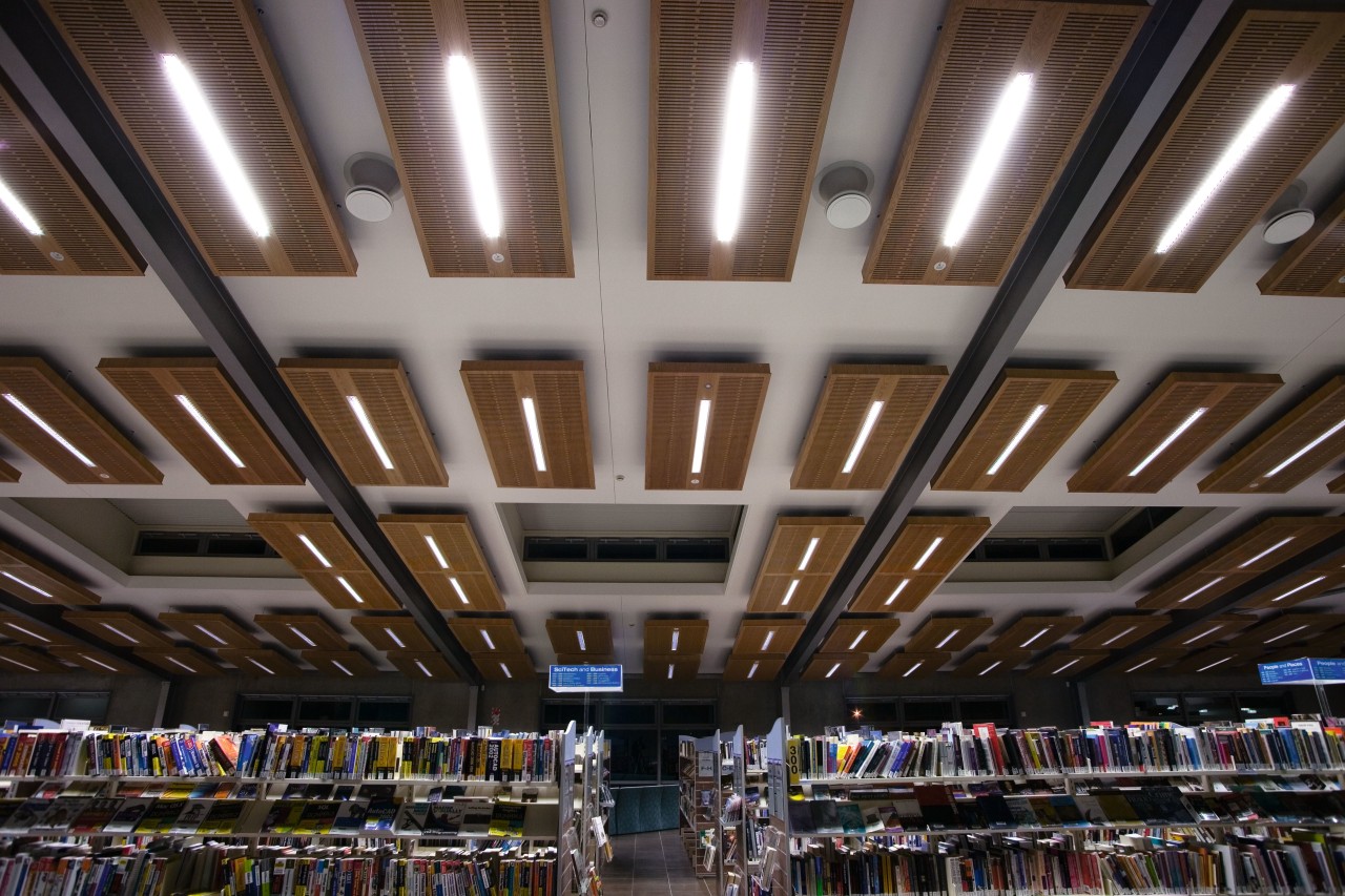 A view of the lighting in the Papamoa ceiling, daylighting, structure, gray, brown, black