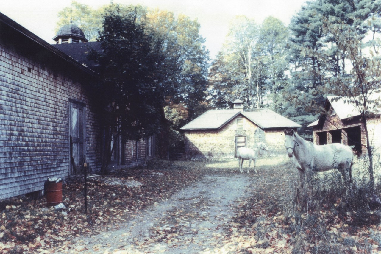 Before shot of the house and surronding area. cottage, home, house, property, rural area, tree, village, gray