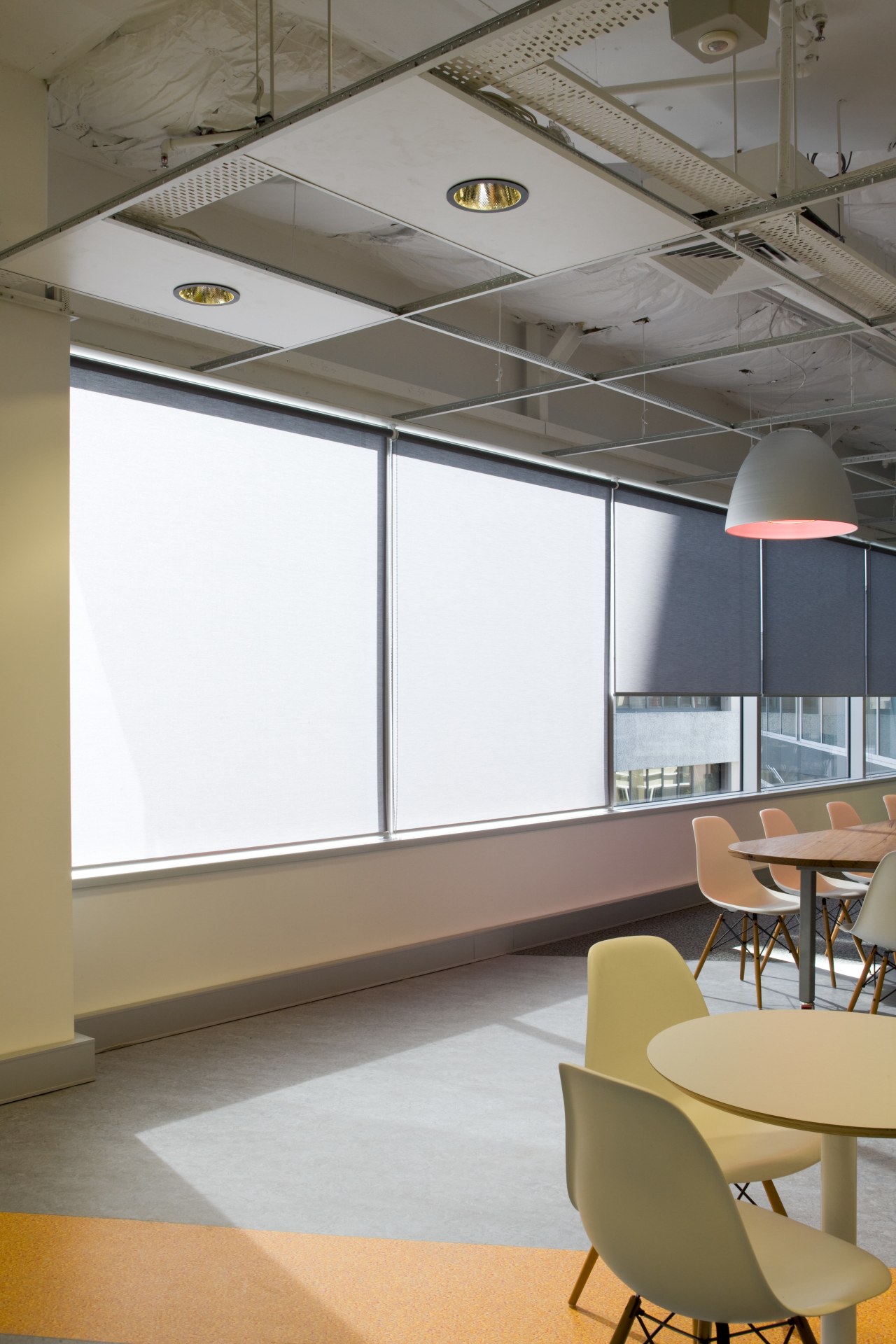 View of an office area in the ARUP ceiling, glass, interior design, product design, gray