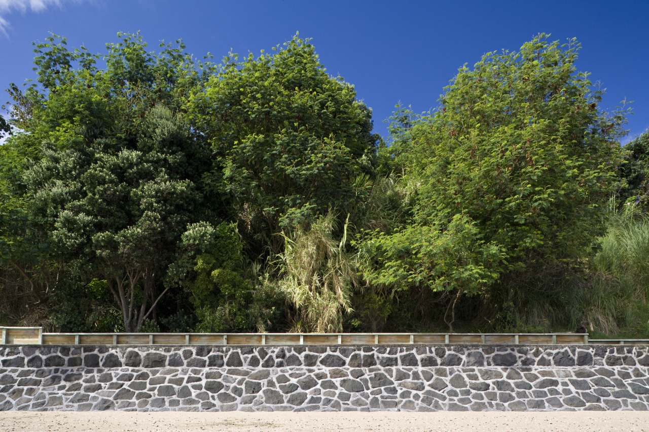 Image of the new completed seawall. bank, lake, landscape, leaf, nature, plant, pond, reflection, reservoir, sky, tree, vegetation, water