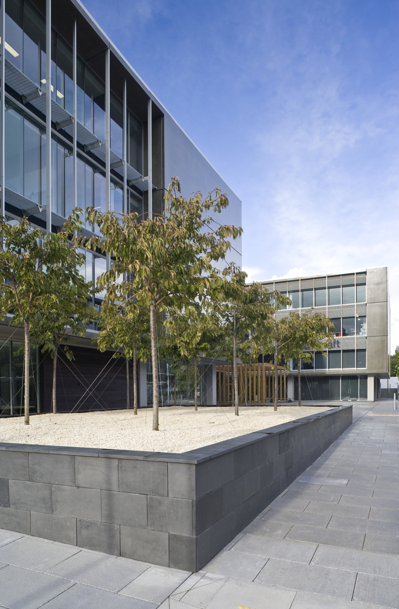 view of a planter box at Carlaw Park apartment, architecture, building, campus, commercial building, condominium, corporate headquarters, daytime, facade, headquarters, mixed use, neighbourhood, real estate, residential area, urban design, walkway, gray