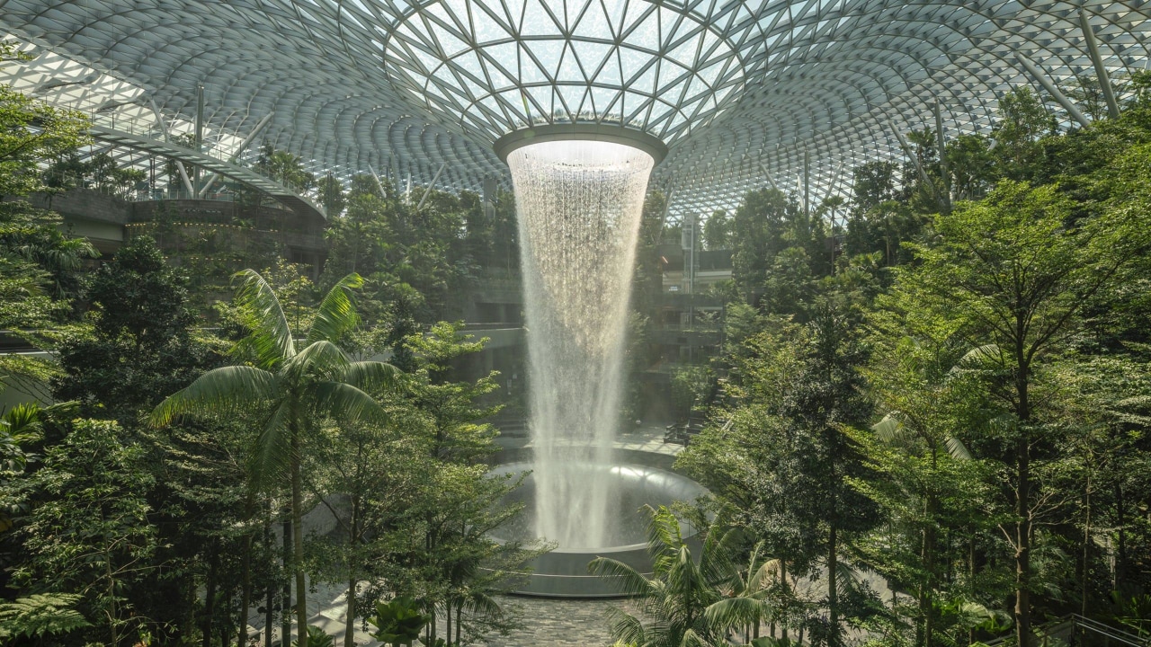 Based on the geometry of a torus, the architecture, biome, botanical garden, botany, fountain, garden, plant, rainforest, tree, vegetation, water feature, brown, gray