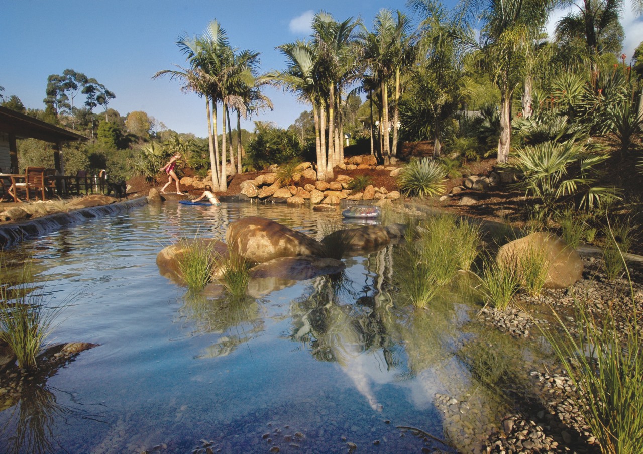 View of a natural swimming pool from Palmco arecales, landscape, palm tree, reflection, resort, sky, swimming pool, tree, tropics, vegetation, water, water feature, water resources, brown