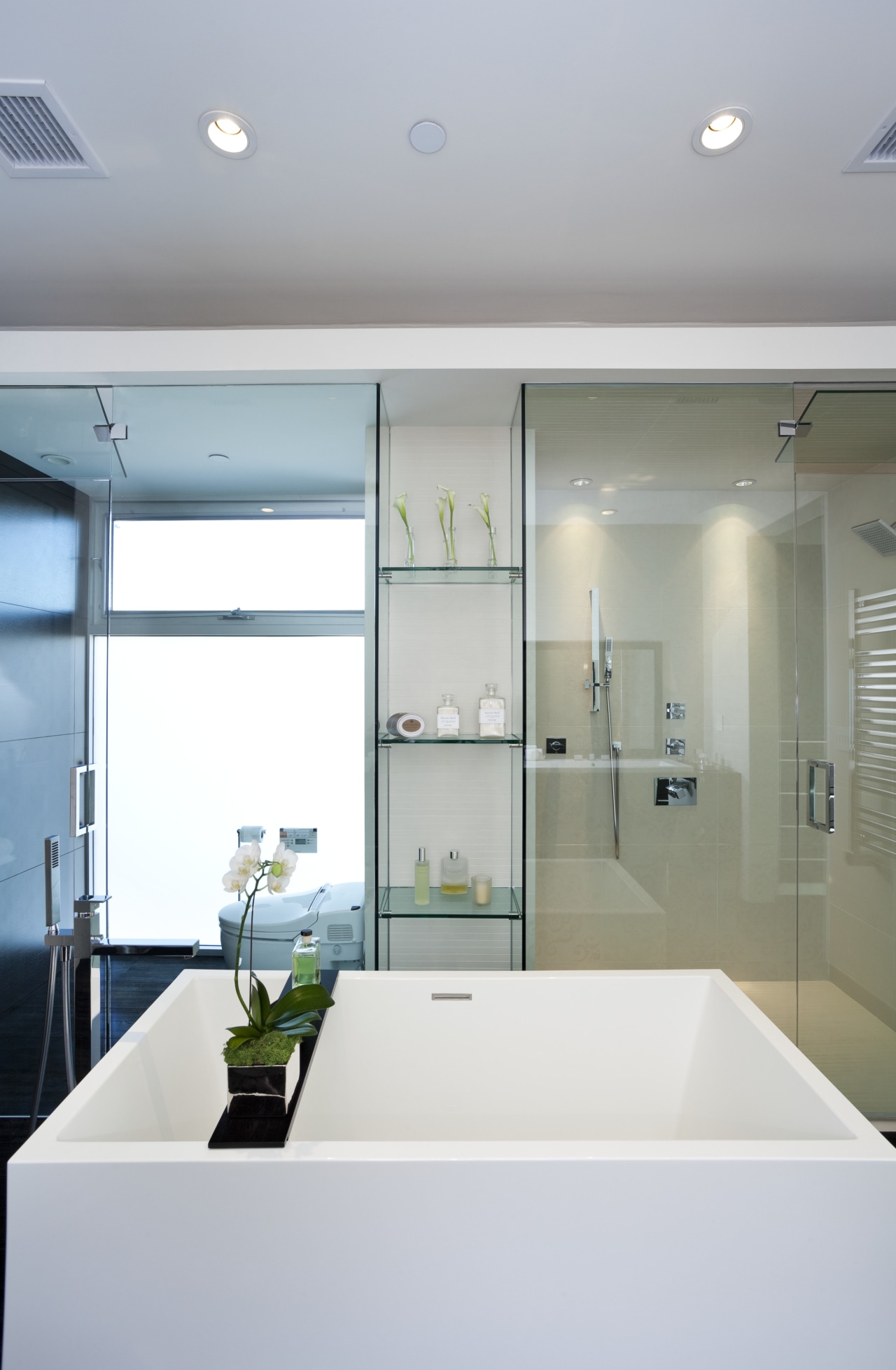 View of contemporary square tub with plant feature. architecture, bathroom, ceiling, daylighting, glass, home, house, interior design, room, sink, window, gray, white