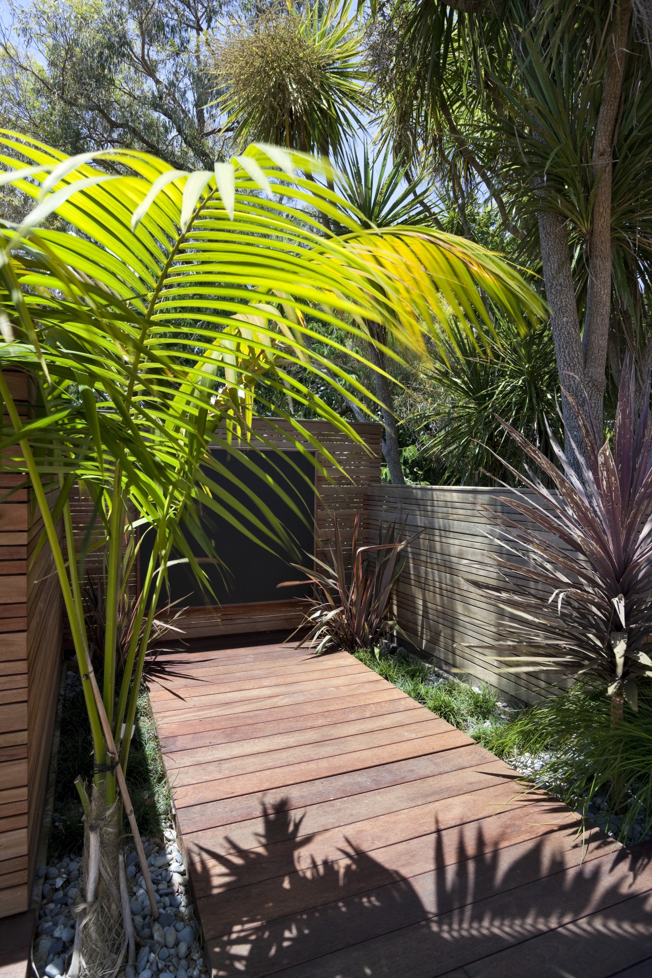 View of patio area with landscaping. arecales, botanical garden, flora, garden, leaf, outdoor structure, palm tree, plant, tree, tropics, vegetation, walkway, brown, black