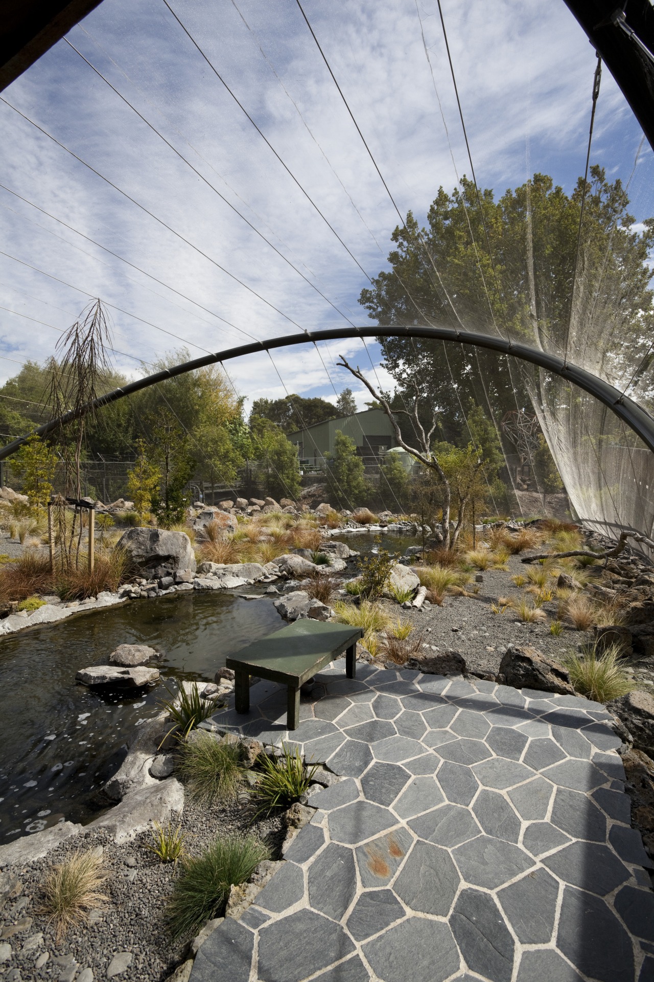 View of stone path and landscaping with water landscape, leaf, plant, real estate, reflection, sky, tree, walkway, water, gray, brown