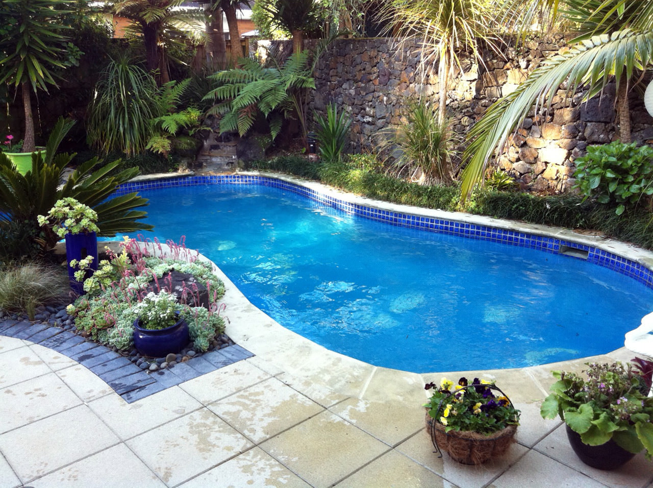 Outdoor view of Pool with native surroundings. backyard, landscaping, leisure, majorelle blue, property, resort, swimming pool, water, water feature, yard