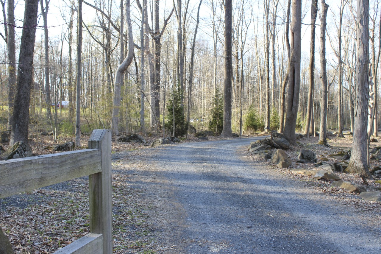 Seen here is the entrance to the house forest, path, road, state park, trail, tree, wood, woodland, gray
