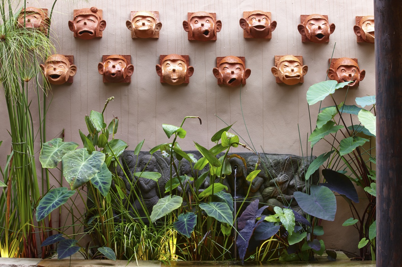 The monkey-face sculptures are another Asian cultural reference grass, leaf, organism, plant, gray