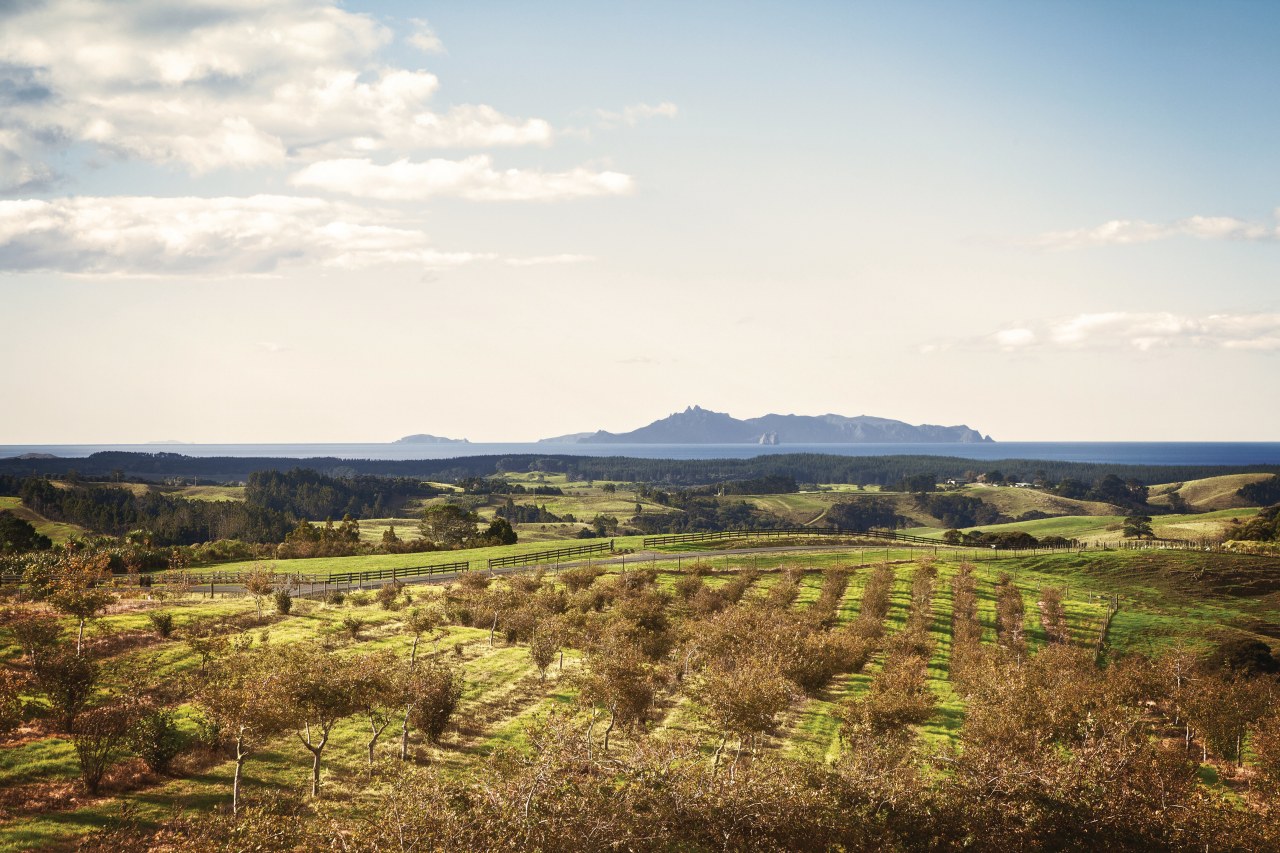 The majority of building sites in the new cloud, ecoregion, farm, field, grass, grassland, highland, hill, horizon, landscape, mountain, plain, plateau, prairie, rural area, savanna, shrubland, sky, steppe, tree, white, brown