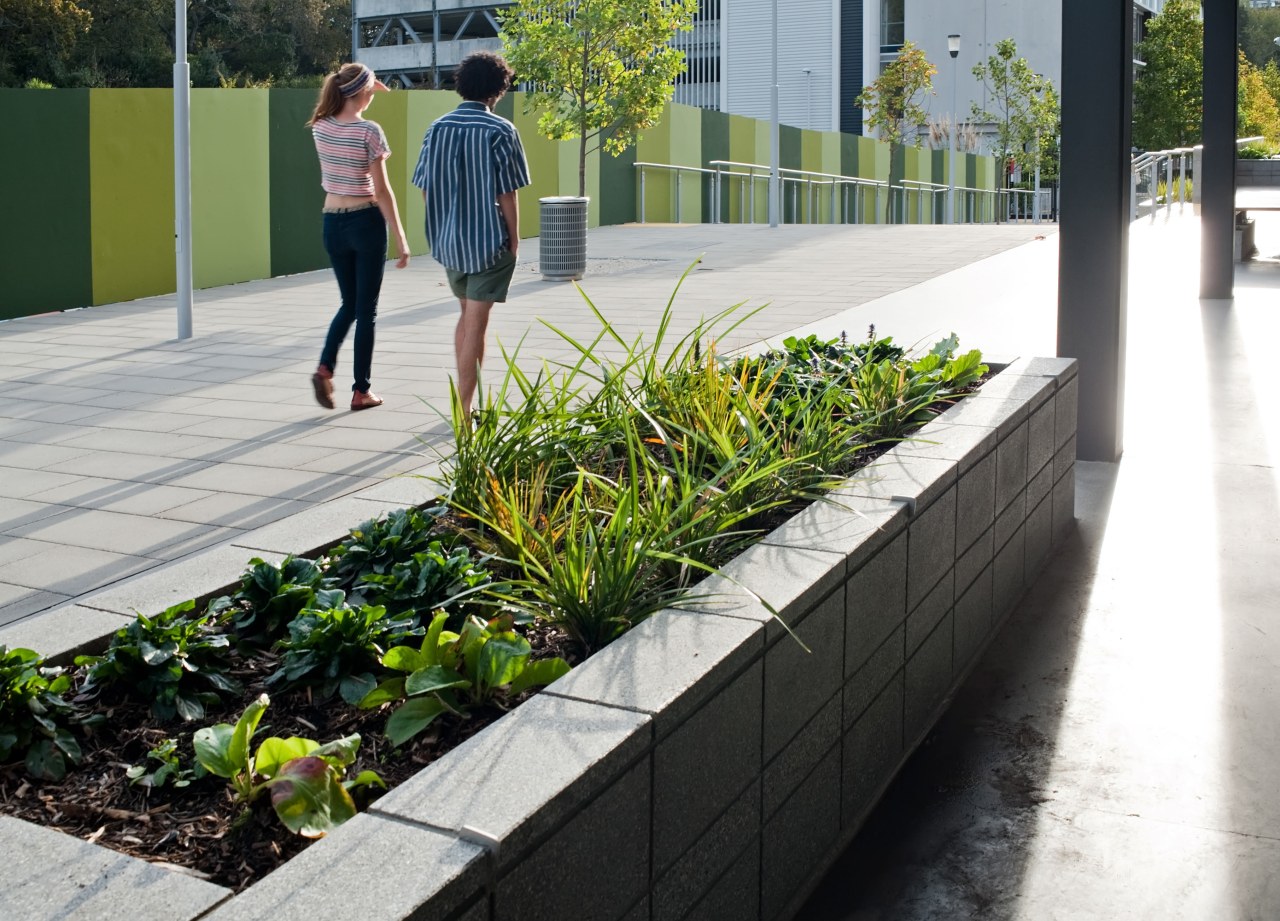 Urban design and landscape architecture specialist Boffa Miskell asphalt, garden, grass, plant, public space, recreation, tree, walkway, white, black