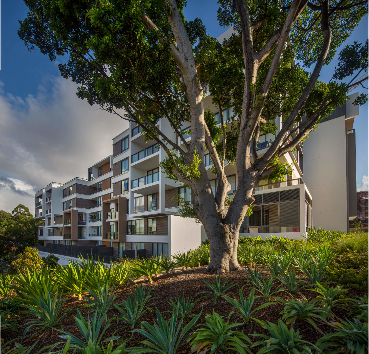 Putney Hill offers a tranquil lifestyle just twenty apartment, architecture, arecales, building, condominium, estate, home, house, mixed use, neighbourhood, plant, property, real estate, residential area, sky, tree, brown