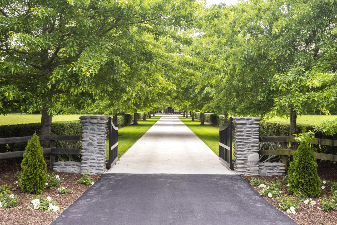 The main entrance is highlighted by an avenue 