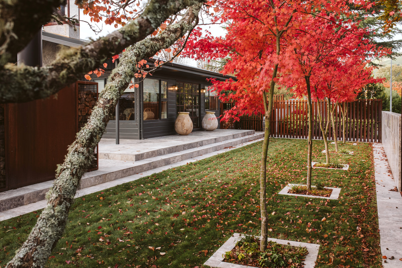 The Japanese maples delivering autumn reds. 