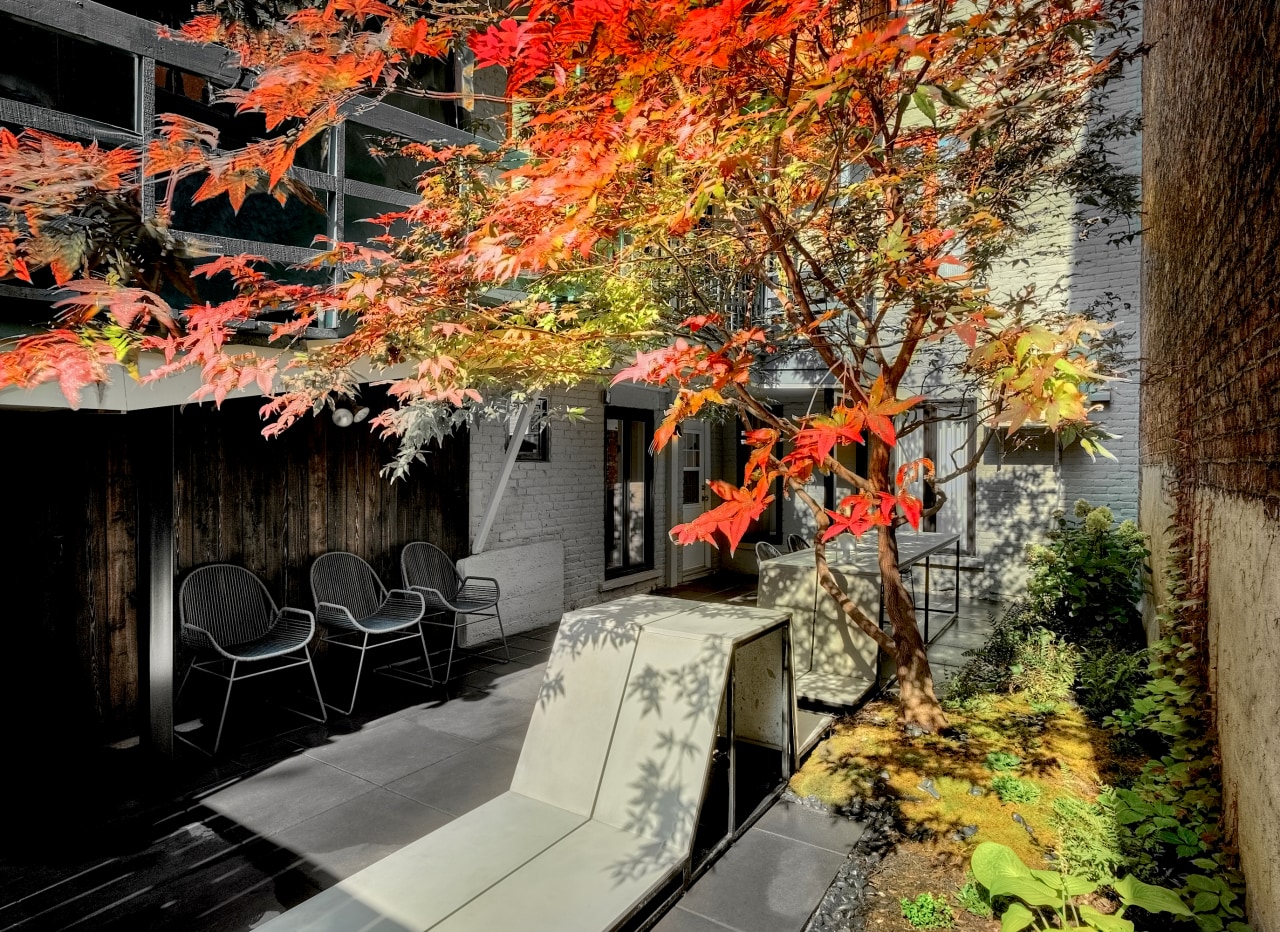 The owners wanted designer Martine Brisson and landscape architecture, autumn, branch, building, deciduous, flower, leaf, maple, maple leaf, nature, plant, red, room, sky, tree, woody plant, brown