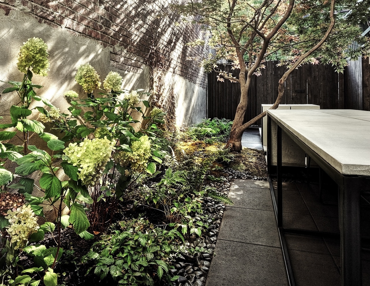 Backyard innovation - backyard | botanical garden | backyard, botanical garden, botany, flower, forest, garden, house, jungle, landscape, leaf, natural environment, plant, shrub, spring, sunlight, table, tree, vegetation, wood, yard, black