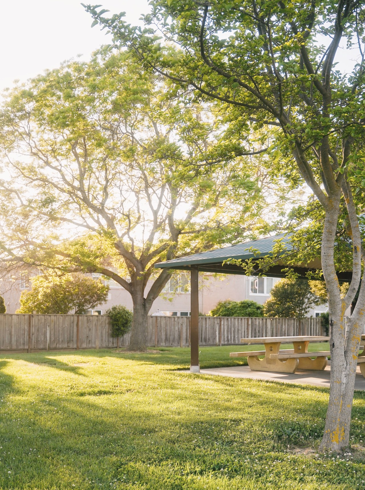 Photography by: Dakota Lim 