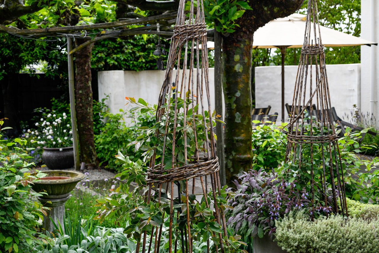Climbing frames will be hidden by greenery in 