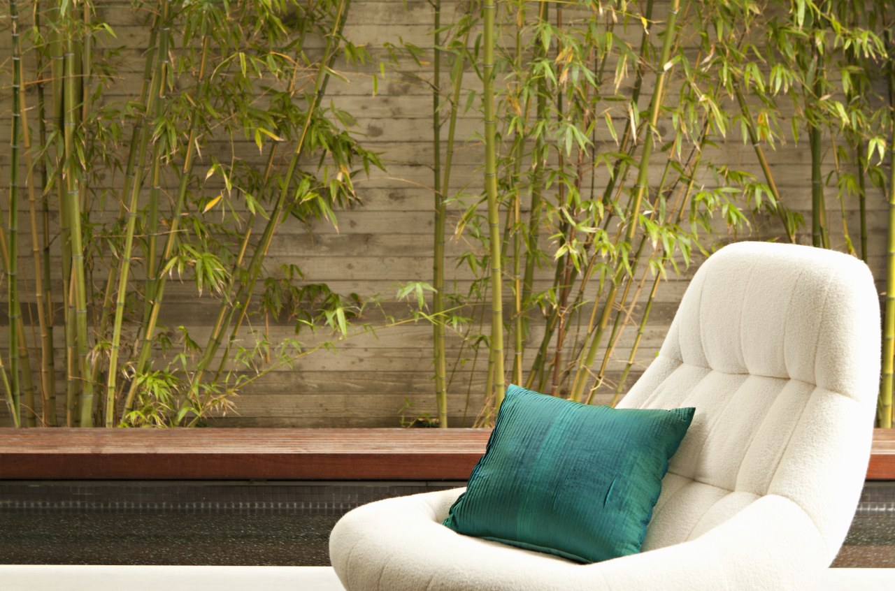 A verdant outdoor outlook. - Mad Men meets 