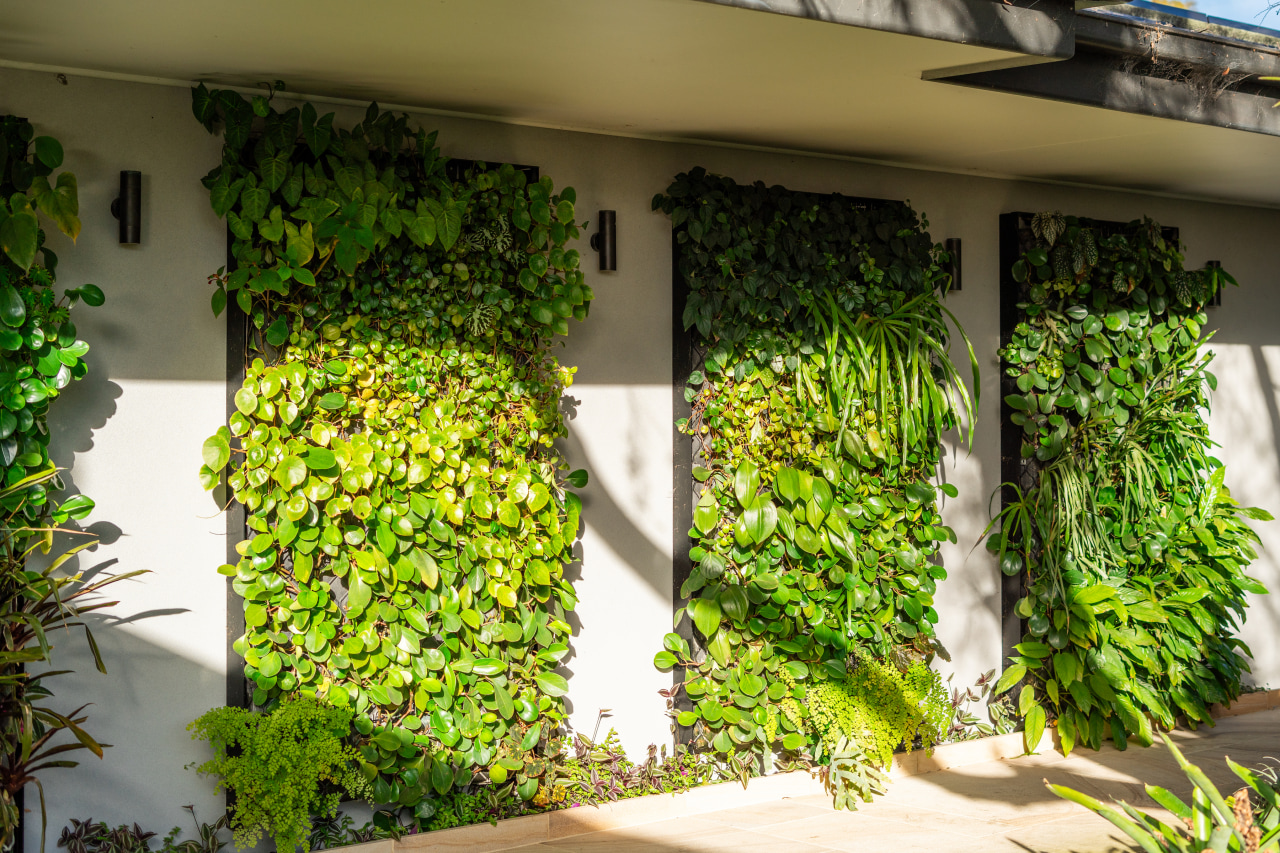 Due to their lightweight structure and media, green 
