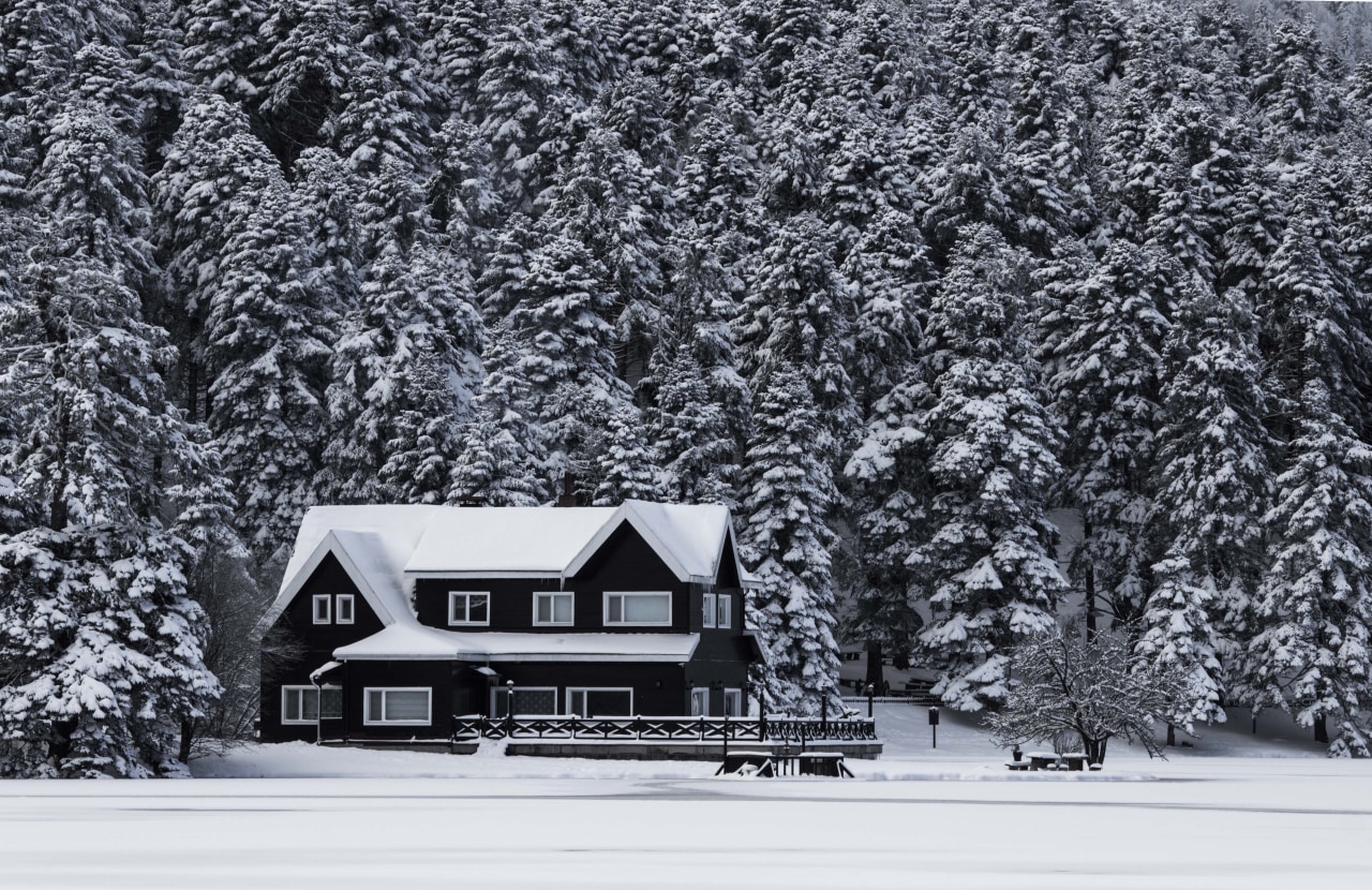 Before rushing out and buying a new heating black and white, freezing, frost, home, house, landscape, monochrome, monochrome photography, snow, tree, winter, woody plant, gray, black