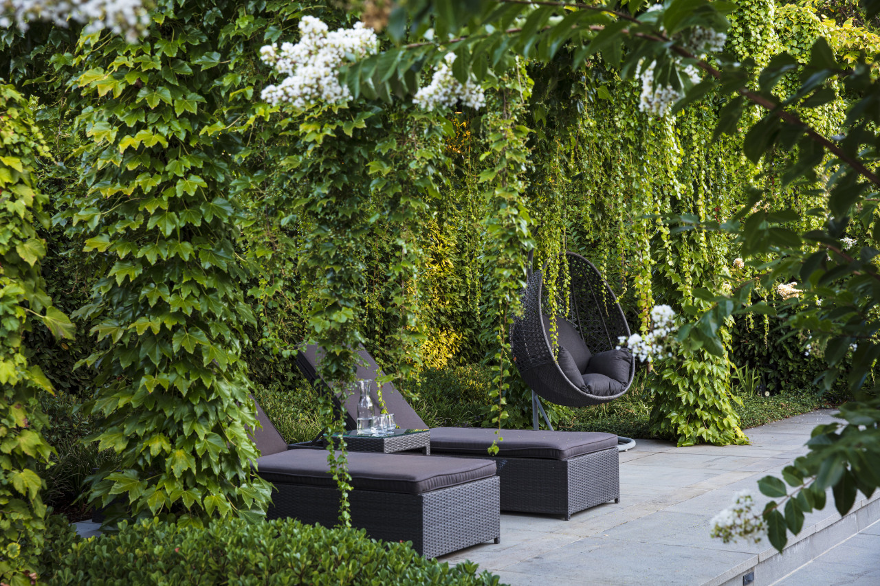 The project creates a private paradise. - Hanging 