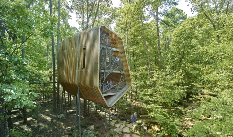This tree house is the first of three forest, jungle, nature reserve, plant community, tree, woodland, green, brown