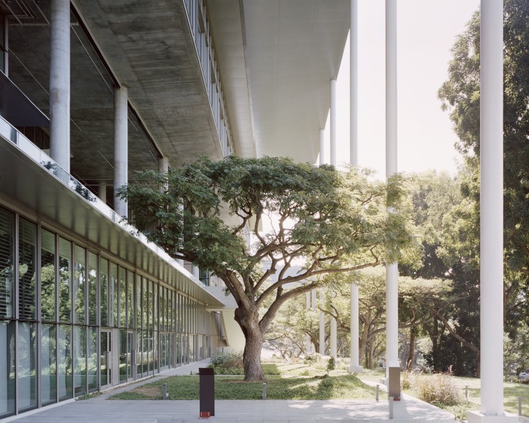 A shady overhanging roof and giant platforms that architecture, building, house, line, material property, plant, tree, urban design, gray