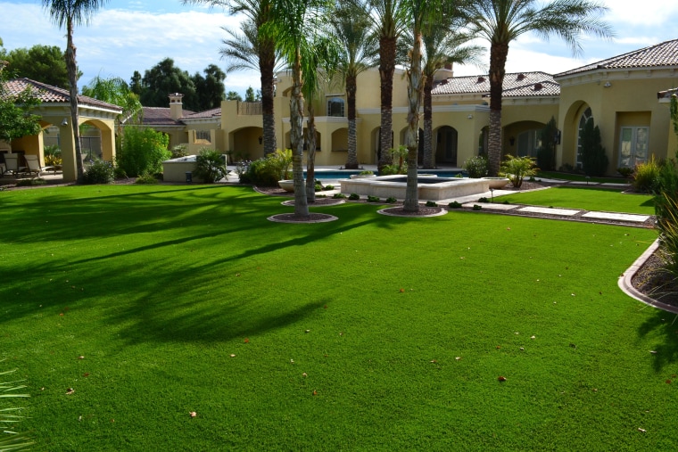 TigerCool is perfect for use in your home's arecales, artificial turf, backyard, building, courtyard, estate, garden, grass, grass family, grassland, hacienda, house, land lot, landscape, landscaping, lawn, palm tree, plant, property, real estate, residential area, tree, villa, yard, green