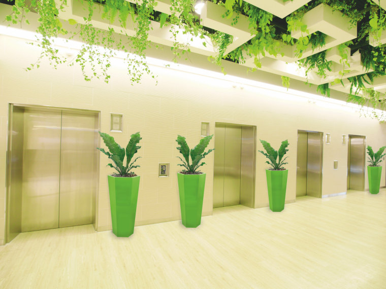 Biophilic design is an increasing trend around the ceiling, design, flowerpot, green, houseplant, interior design, plant, room, yellow