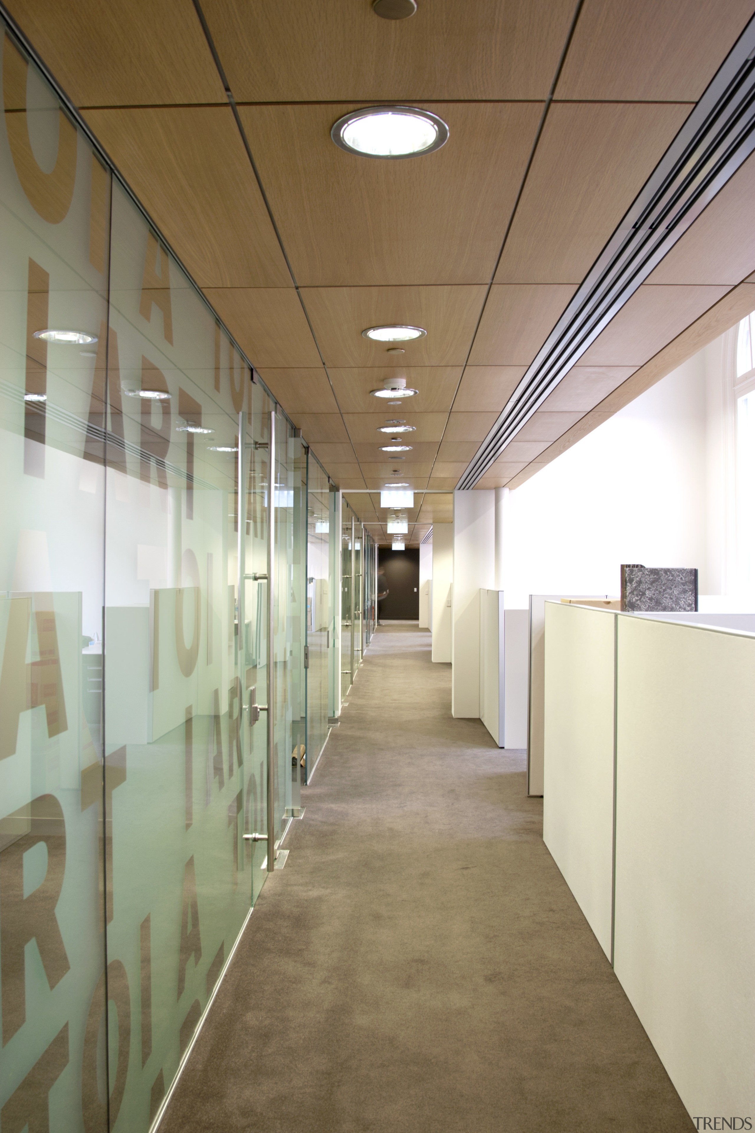 Here is a view of the kauri canopy architecture, ceiling, daylighting, floor, flooring, glass, interior design, wall, brown