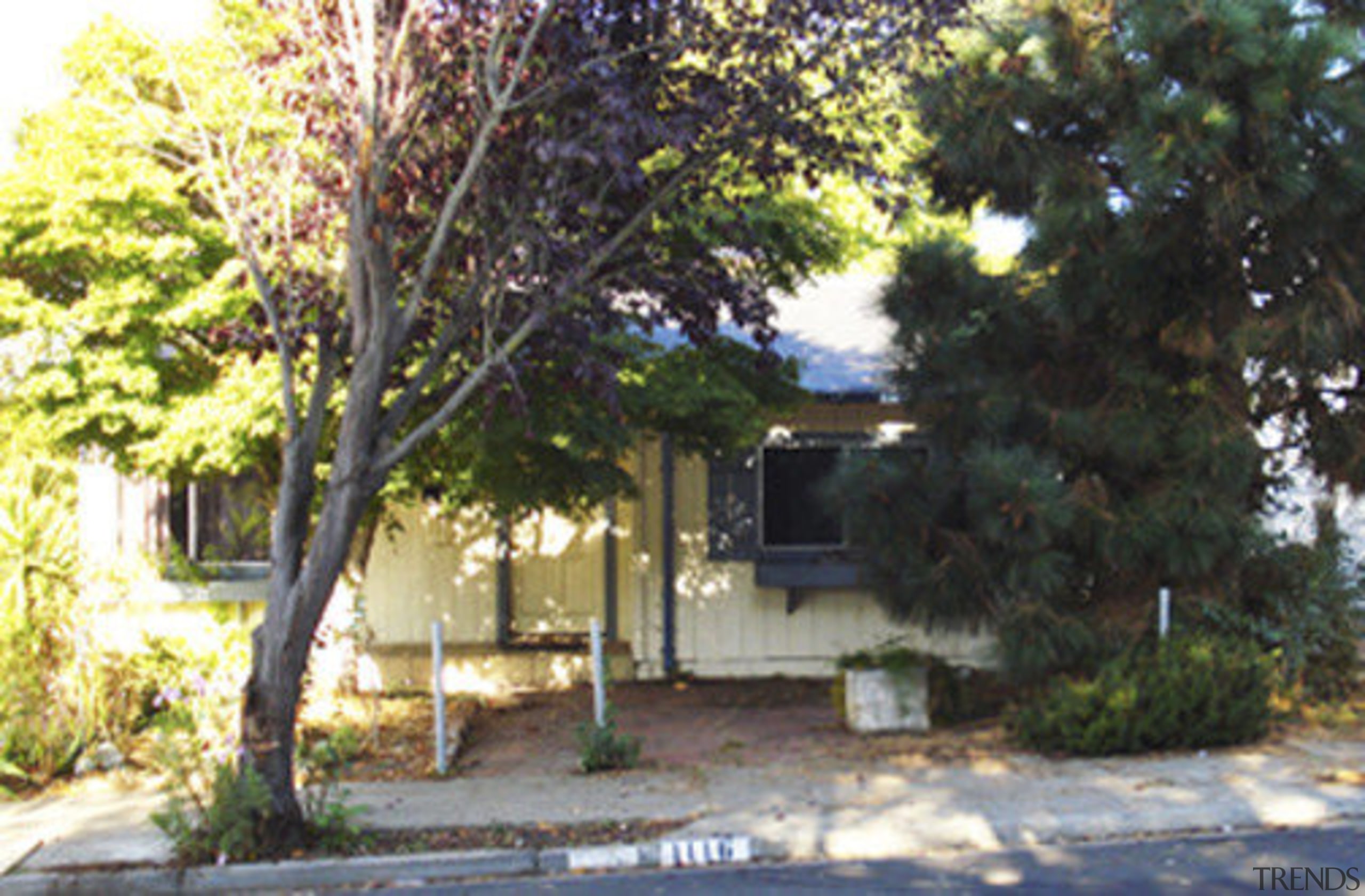 Exterior shot of house with trees. - Exterior cottage, home, house, leaf, outdoor structure, plant, property, real estate, tree, yard, black