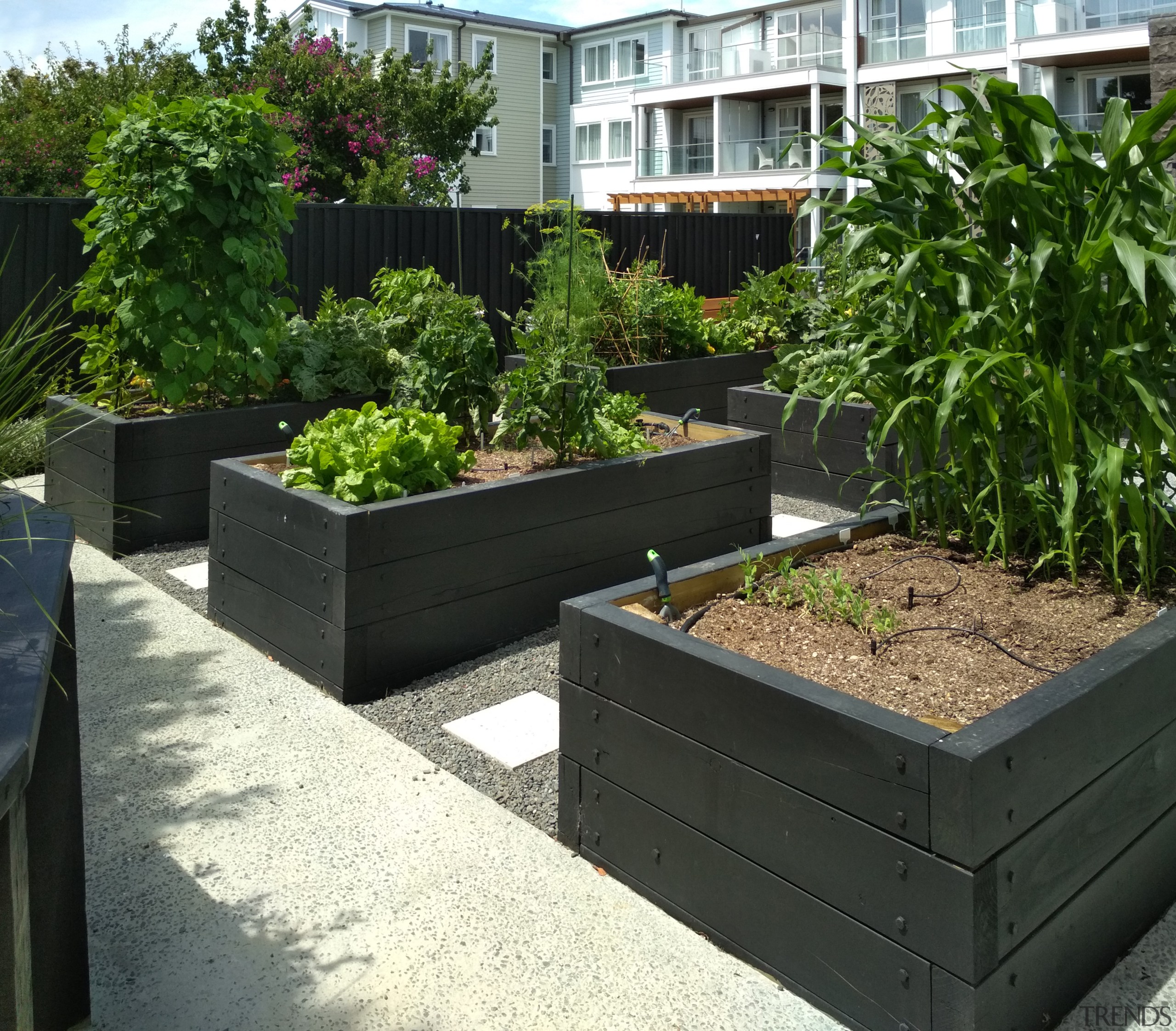 Boffa Miskell’s senior principal Emma Todd and associate Boffa Miskell, landscape design, senior living communities