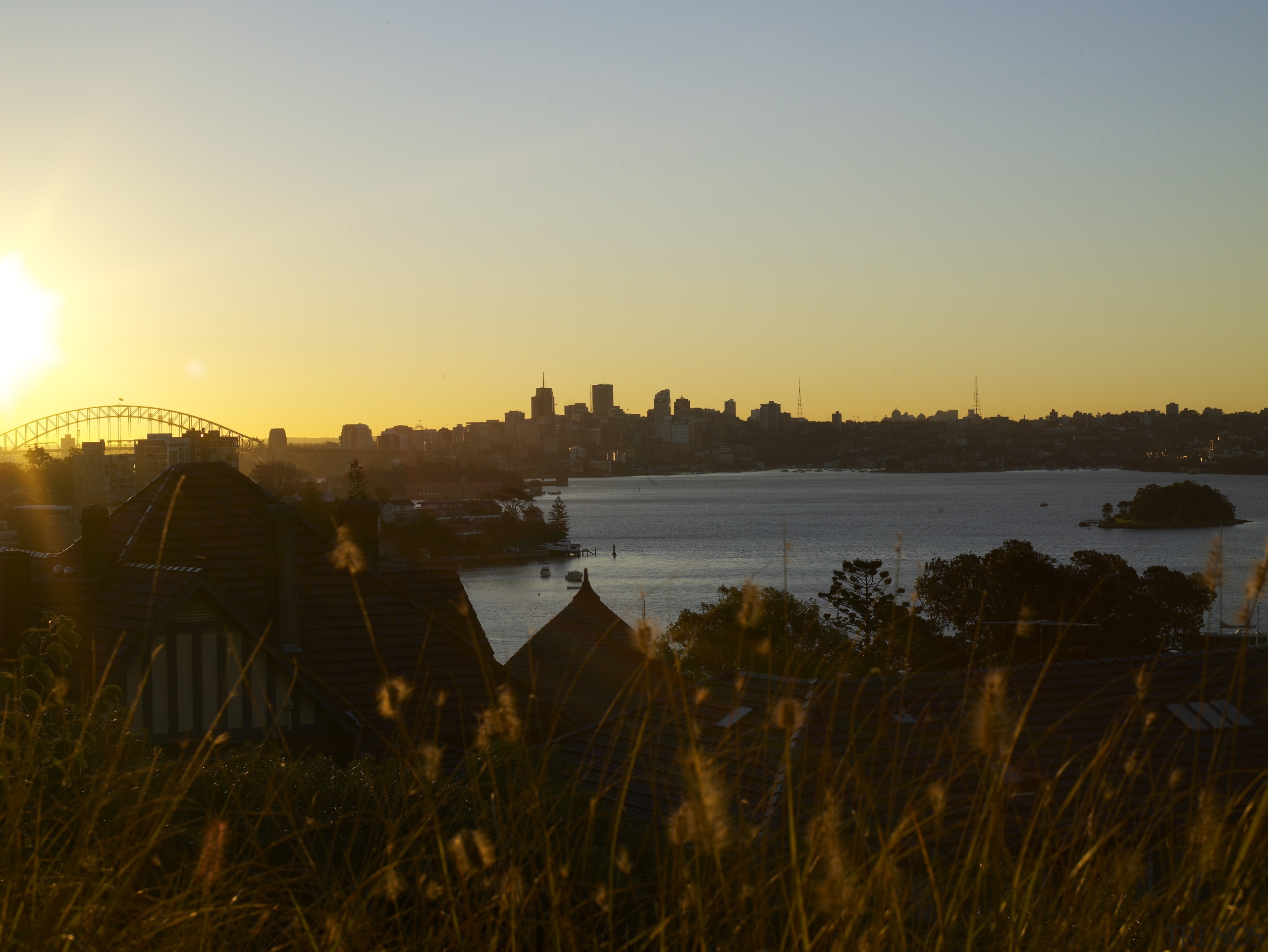 View from this suburban garden. - View from dawn, dusk, evening, horizon, lake, morning, reflection, river, sea, sky, sunlight, sunrise, sunset, water, black