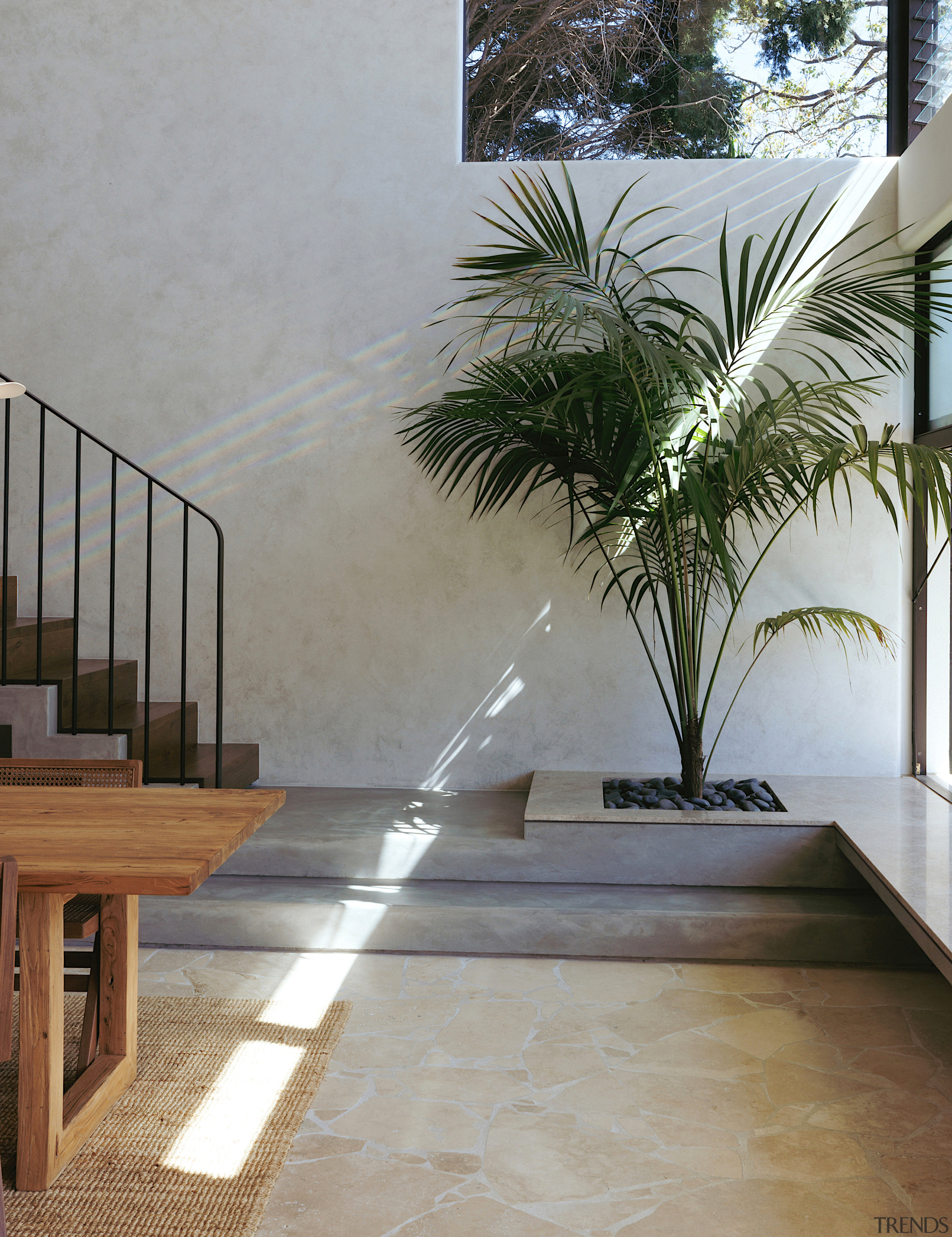 Aa00fad8 f056 49ee 9261 564e0bfaa9de Little Birchbuck 