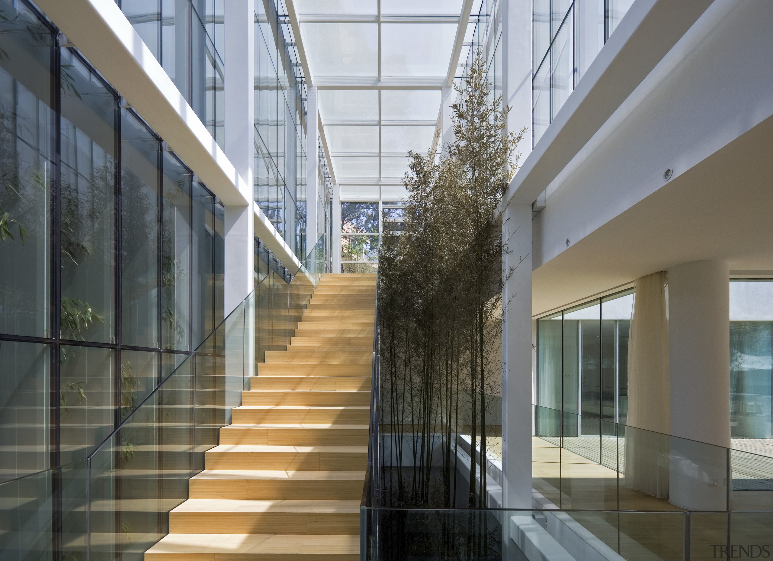 View of staircase, wooden flooring, indoor planting, glass architecture, building, condominium, daylighting, facade, glass, house, structure, window, gray