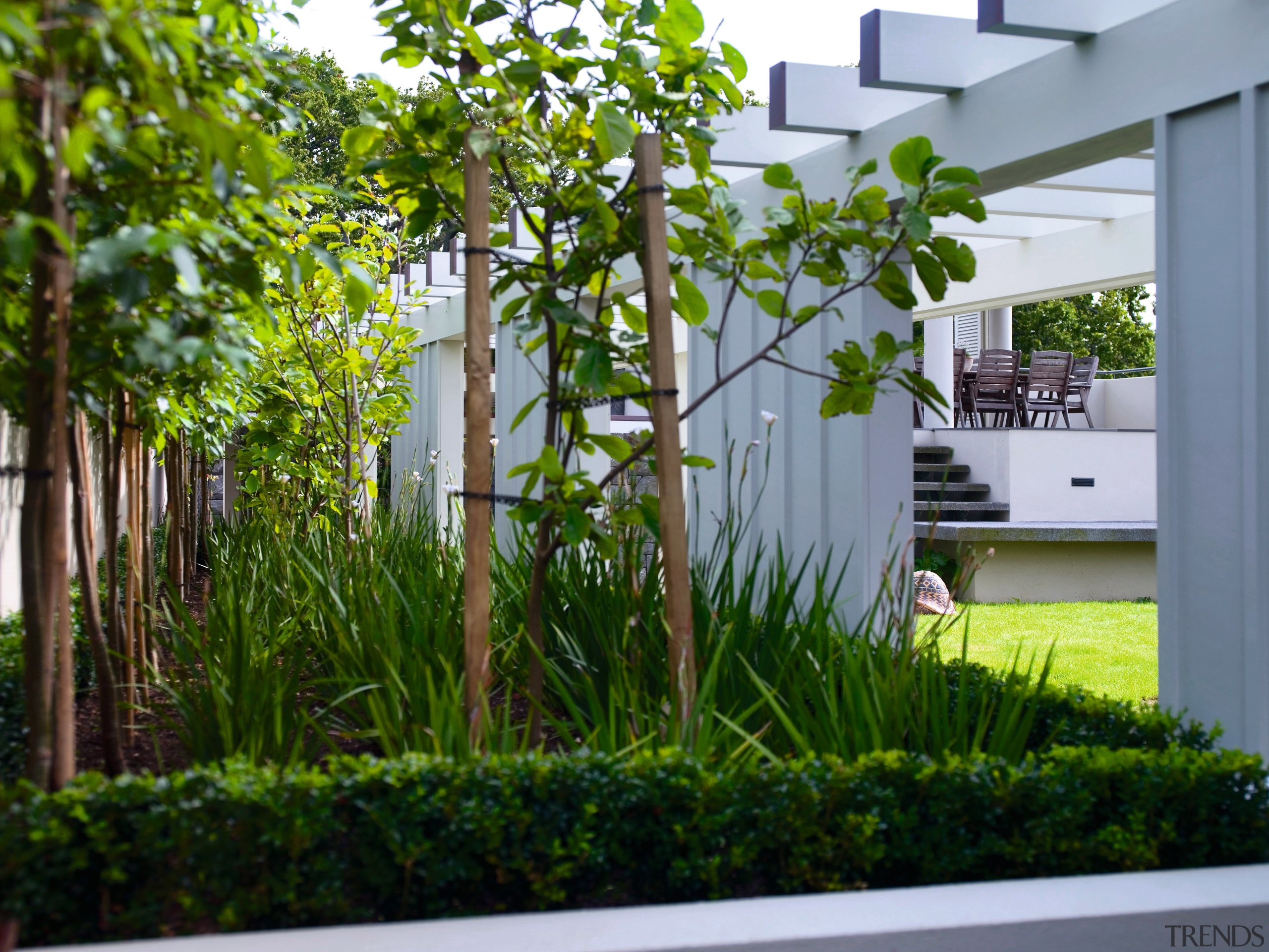 A view of a garden landscaped by Space courtyard, garden, grass, grass family, house, plant, shrub, tree, yard, gray, brown