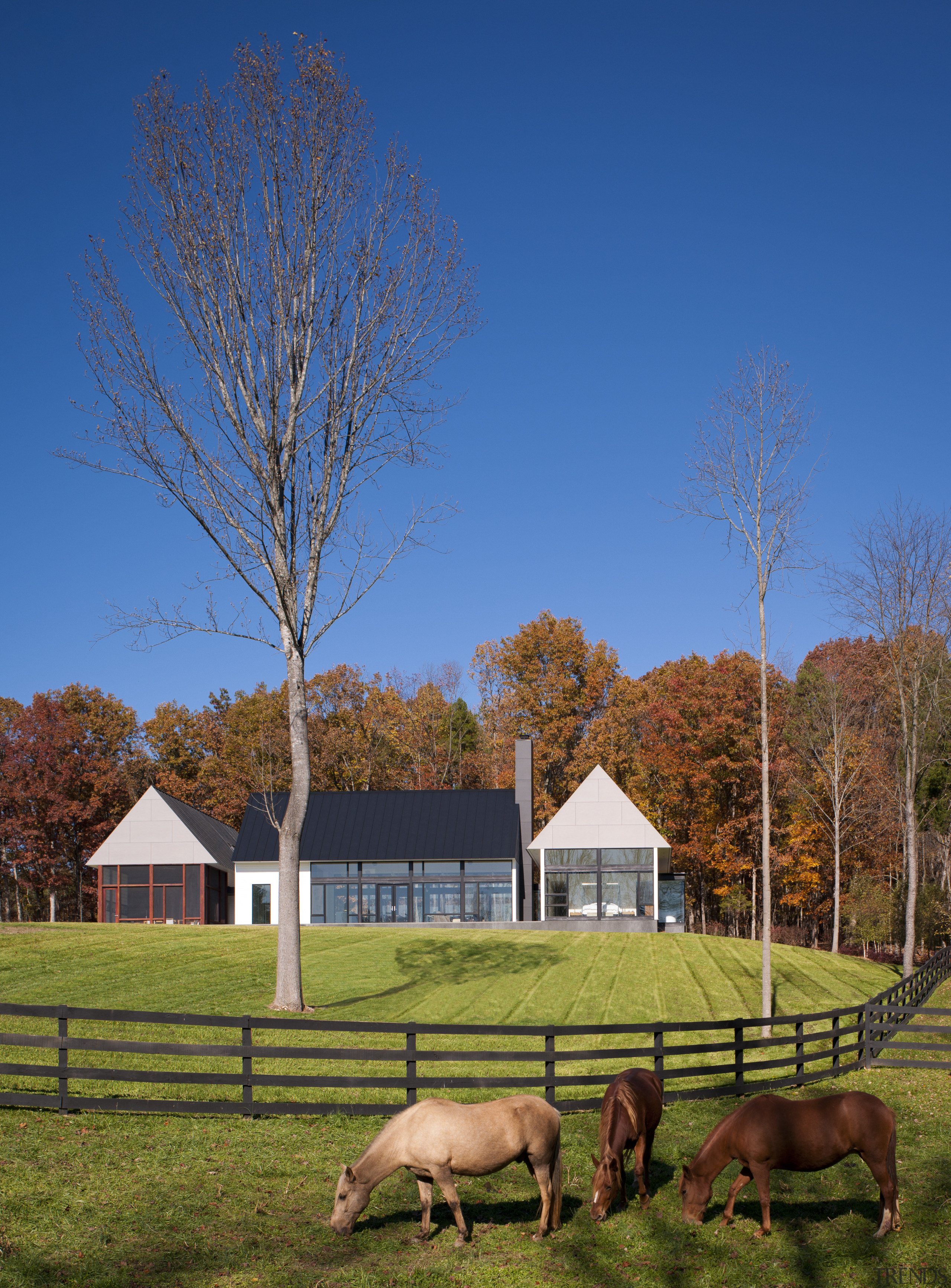 Clapboard siding and a metal roof place this barn, cloud, estate, farm, farmhouse, field, grass, grassland, grazing, home, house, landscape, leaf, meadow, morning, nature, pasture, plant, prairie, ranch, rural area, sky, sunlight, tree, woody plant, blue