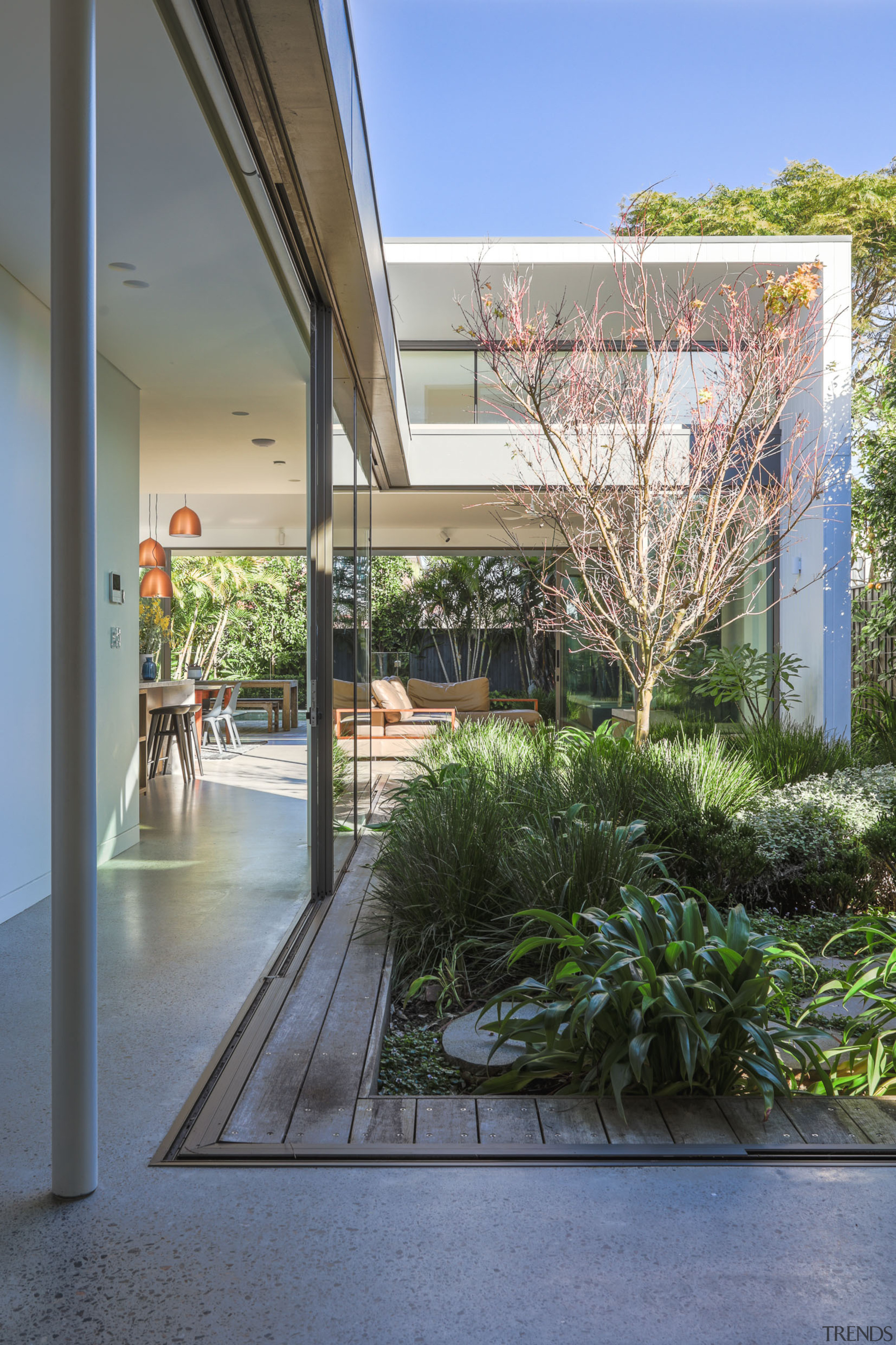 Courtyard garden detail. - Centre of attention - 